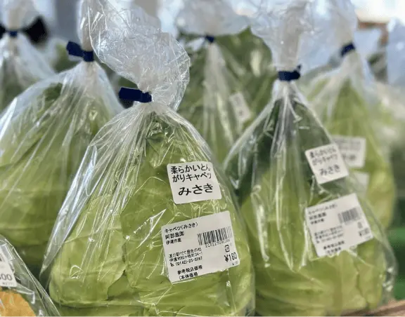 季節感溢れる新鮮野菜など