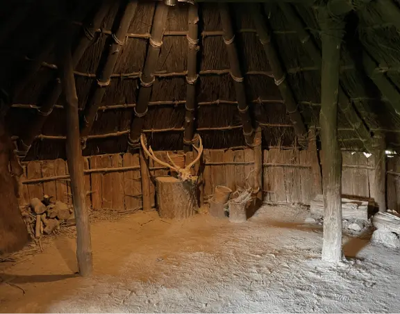 模擬発掘体験も楽しめます!