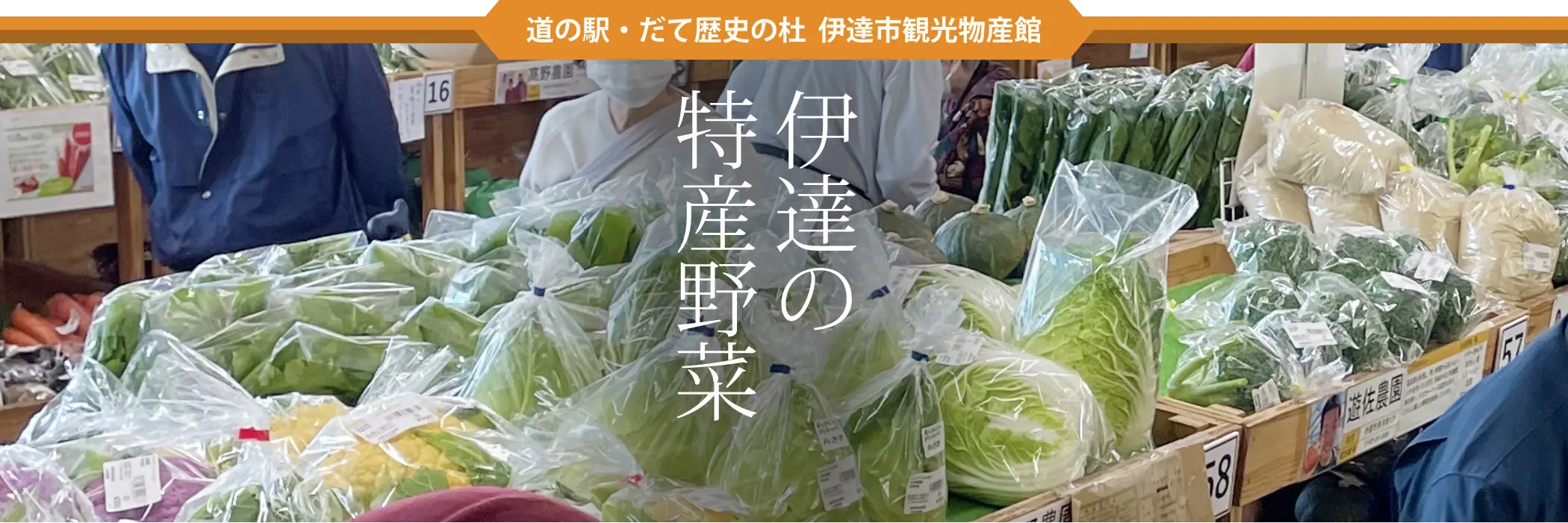 旬野菜と満天の星空